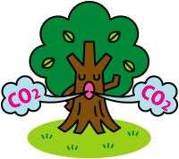 二酸化炭素を吸い込む樹木