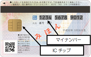 個人番号カード　裏