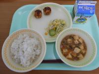 給食写真（6月9日）