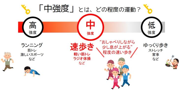 運動強度を表したイラストです。高強度の運動とは、ランニングや筋力トレーニング、激しいスポーツのことです。また、中強度の運動とは、軽い筋力トレーニングやラジオ体操、話しながら少し息が上がる程度の早歩きのことです。また、低強度の運動とは、ゆっくり歩きやストレッチ体操、家事のことです。