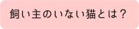 飼い主のいない猫とは？