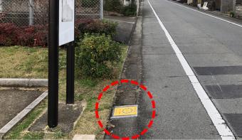 路面表示バス停の写真