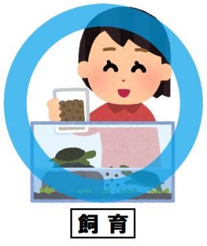 飼育