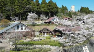 上空からみたロッジエリア