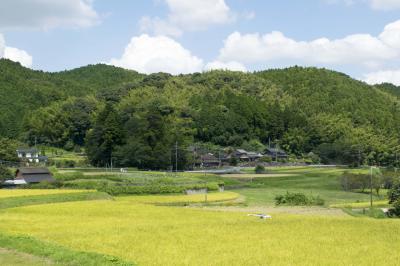 平等寺の田園風景の画像