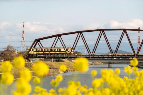 筑豊本線を走る列車の写真