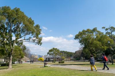天拝公園の写真