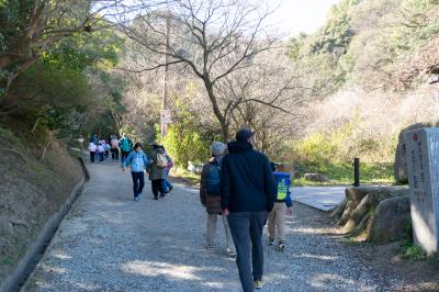 天拝山登山道の写真