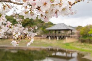 天拝山歴史自然公園