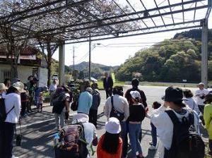 エヒメアヤメ見学会