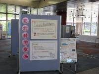展示の様子