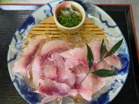 広松養魚場鯉アライの写真