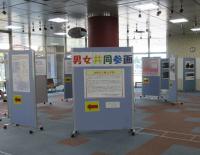 展示の様子