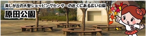 美しが丘の大型ショッピングセンターの近くにある広い公園