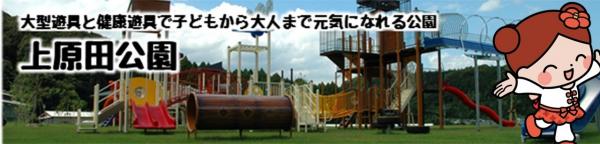 大型遊具と健康遊具で子供から大人まで元気になれる公園