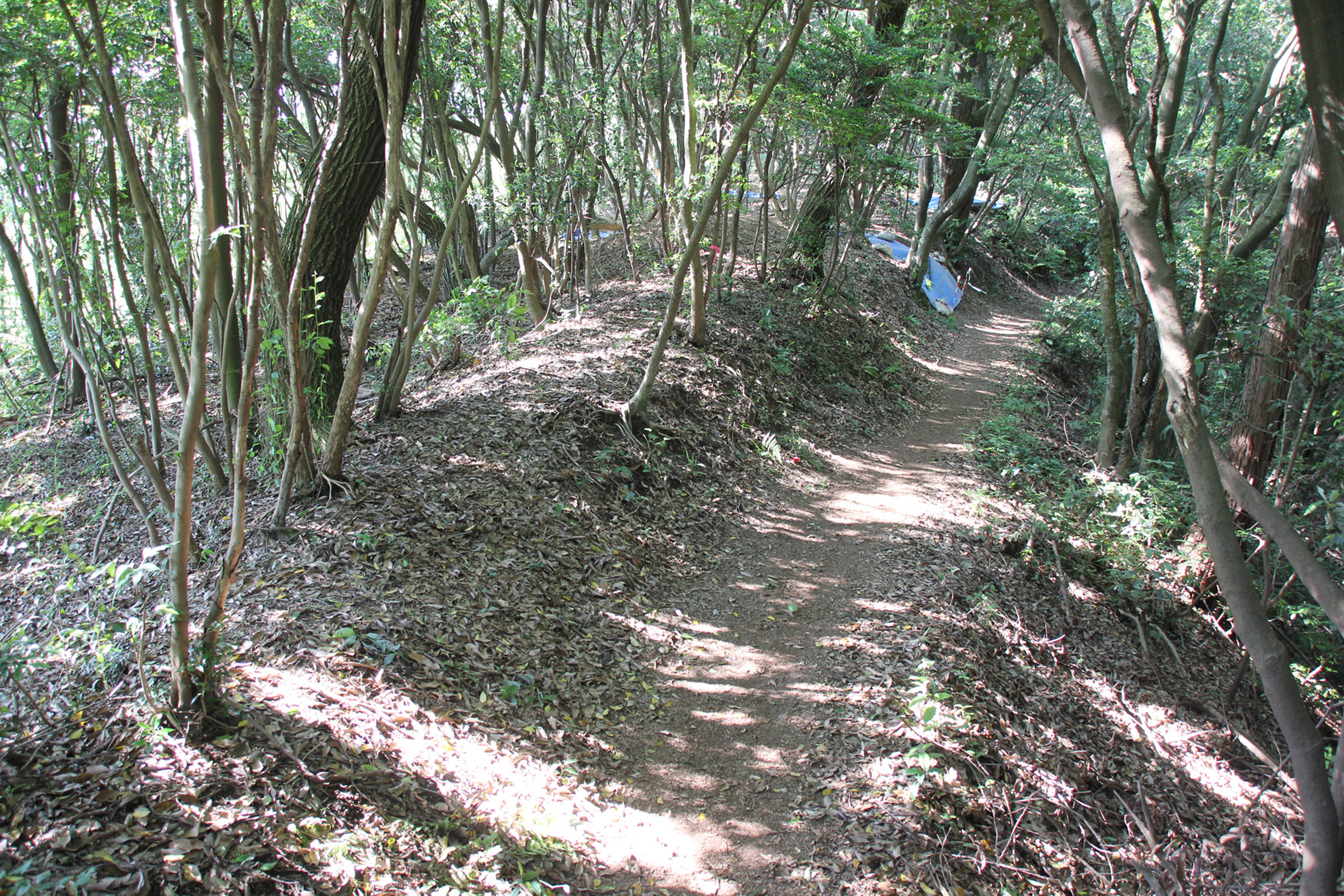 前畑遺跡４トレンチ付近