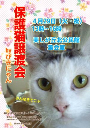 びきにゃん主催譲渡会チラシ