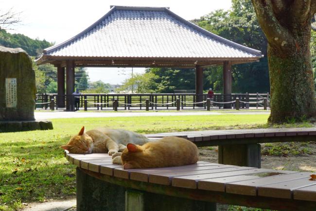 天拝公園