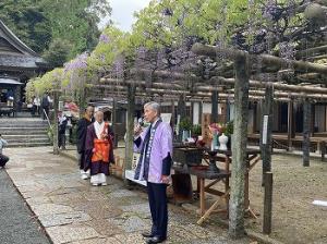 筑紫野市祭　二日市温泉藤まつり2