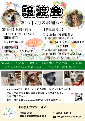 7月譲渡会のお知らせ