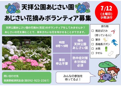 あじさい園花摘みボランティア