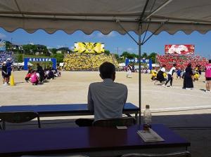 武蔵台高等学校体育祭