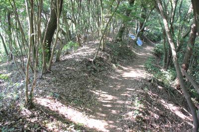 前畑遺跡土塁状遺構1