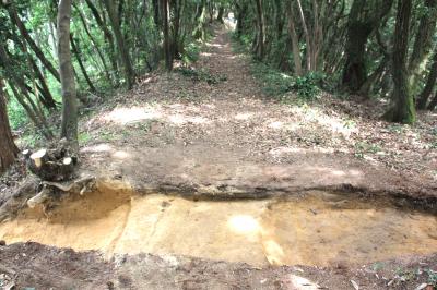 前畑遺跡土塁状遺構２