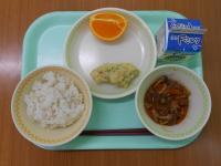 11月20日の献立写真