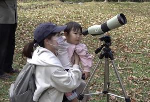 野鳥観察のイメージ