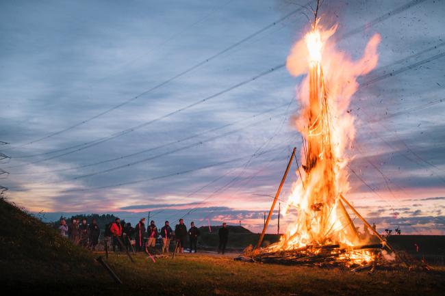 ほうけんぎょう