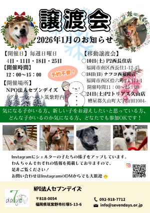 1月の譲渡会