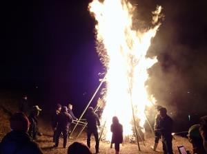 下見一区　ほうげんぎょう