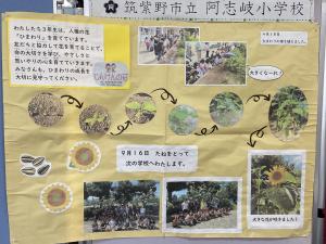 阿志岐小学校パネル