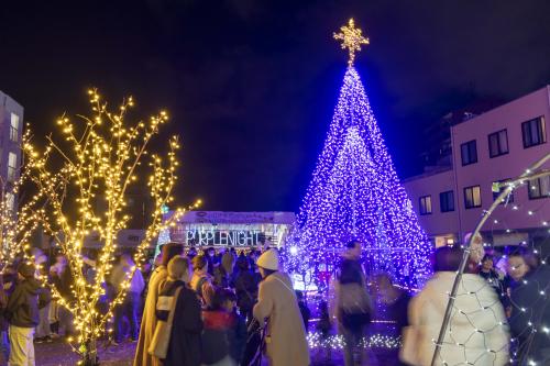 パープルナイト