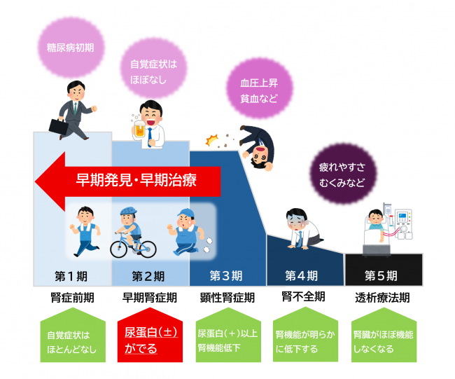 糖尿病性腎症の病気分類図です