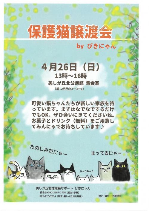 チラシ