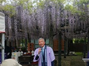 二日市温泉　藤まつり
