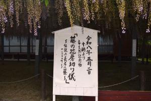 藤の花房切り儀