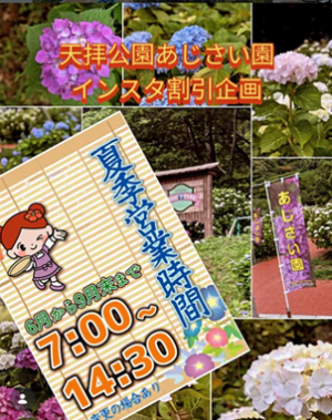 あじさい園Instagram割引企画