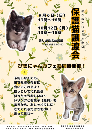 譲渡会ちらし