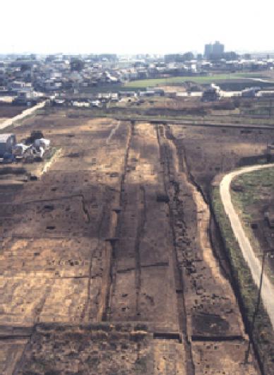 岡田遺跡の古代官道跡