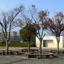 原田公園の画像