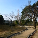 隈公園の画像