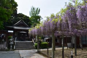武蔵寺の写真1