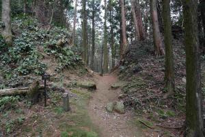 きい城跡